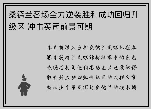 桑德兰客场全力逆袭胜利成功回归升级区 冲击英冠前景可期