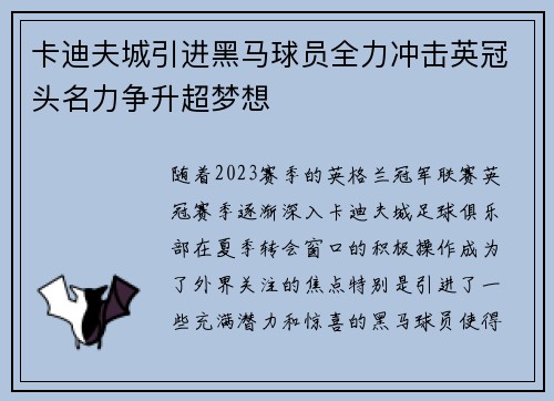 卡迪夫城引进黑马球员全力冲击英冠头名力争升超梦想